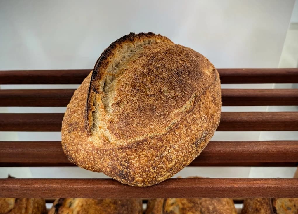 Island Sourdough